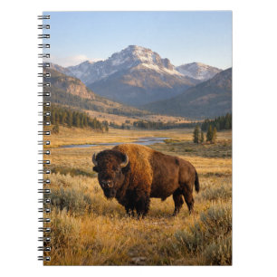 Carnet Paysage de montagne Bison d'Amérique