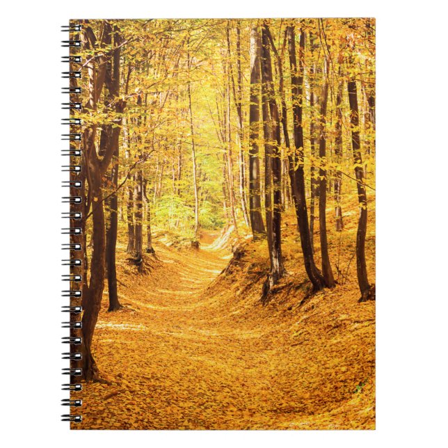 Carnet Paysage forestier d'automne (Devant)