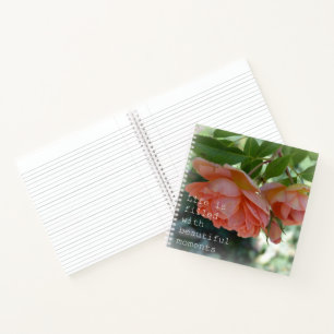 Carnet Peach Roses