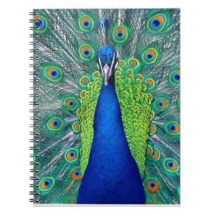 Carnet Peacock#1