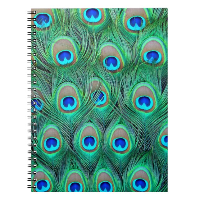 Carnet Peacock Splendor (Devant)