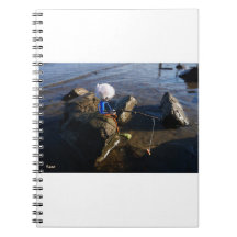 Pêche Fubby sur une pierre.