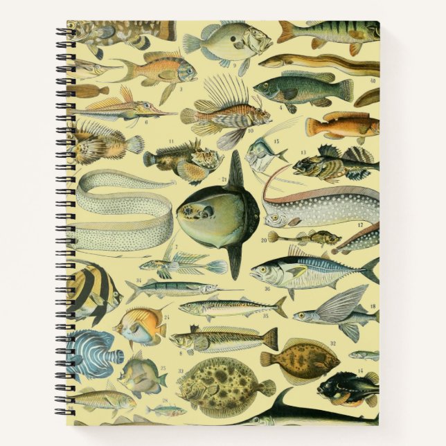 Carnet Pêche scientifique vintage (Devant)