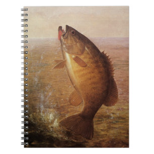 Carnet Pêche Vintage, Achigan à petite bouche bondissant 