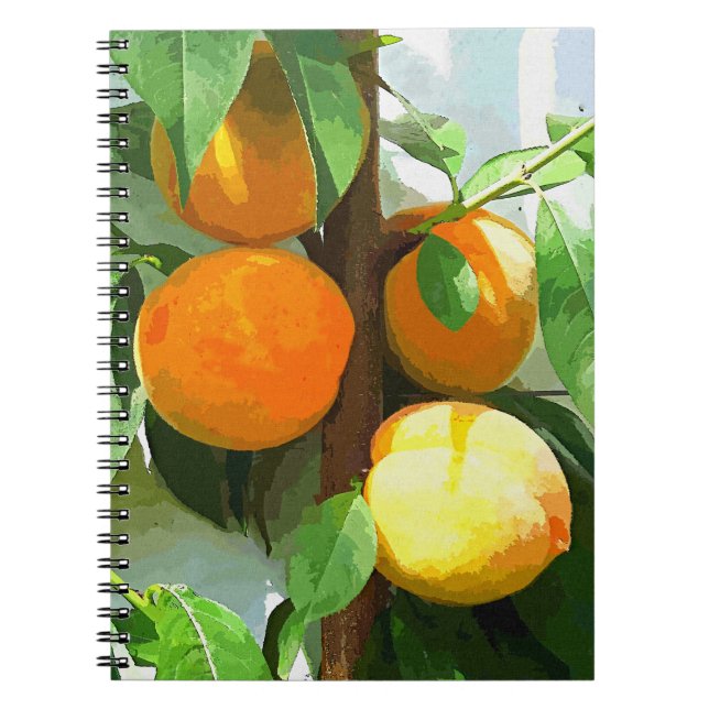 CARNET PÊCHES (Devant)