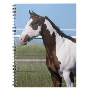 Carnet Peignez la position de cheval