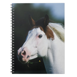 Carnet Peignez le Headshot 3 de cheval