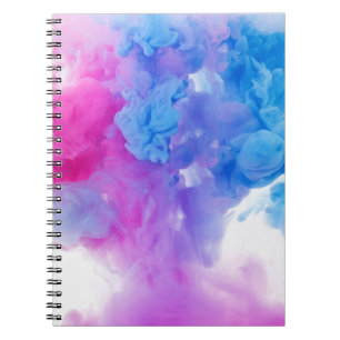 Carnet Peindre les plumes