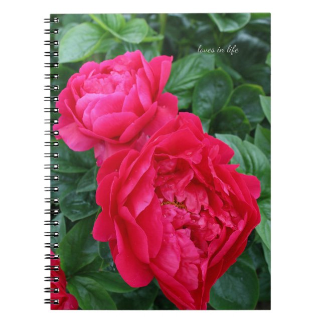Carnet Peine rose rougeâtre (Devant)