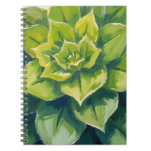 Peinture botanique de plante succulente verte