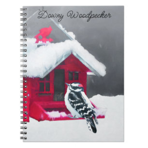 Carnet Peinture Downy Woodpecker - Art original pour oise