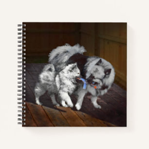 Carnet Peinture Keeshond Playtime - Jolie art original ch