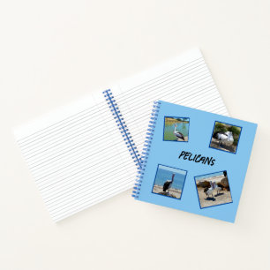 Carnet Pelicans Le Monde Le Plus Froid Oiseau Quatre Cadr