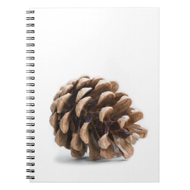 Carnet Pénecone unique (Devant)