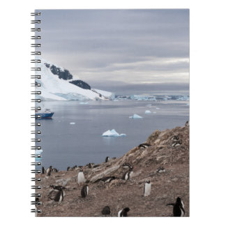 CARNET PENGUINS BESEIN