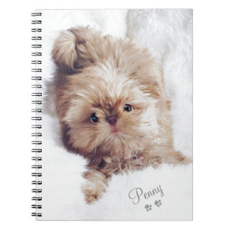 Carnet Penny le foie orange Shih Tzu sur le comprimé du