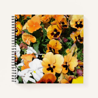 Carnet Pensées
