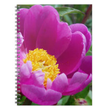 Carnet Peony Rose Et Jaune