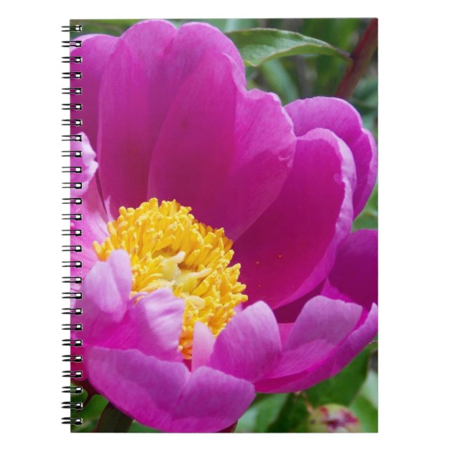 Carnet Peony Rose Et Jaune (Devant)