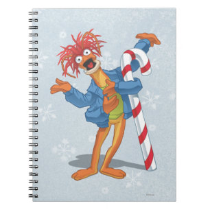 Carnet Pepe de Noël