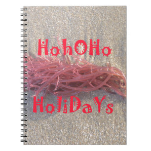 Carnet Père Noël HoHoHo Joyeux Noël des couleurs de la pl