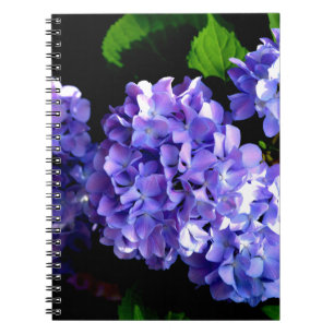 Carnet Périwinkel hydrangeas violet bleu fleur floral