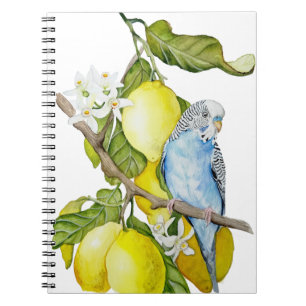 Carnet Perroquet bleu dans l'arbre à citrons - Art botani