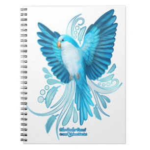 Carnet Perroquet bleu Quaker