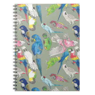 Carnet Perroquets et 'Toos