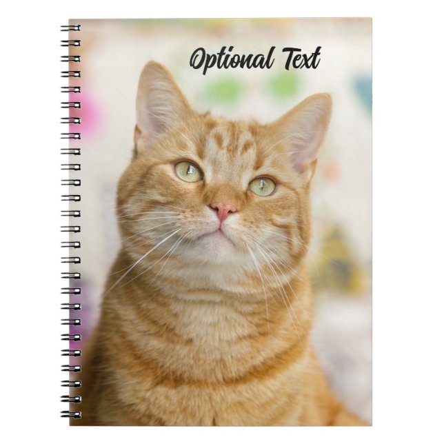 Carnet Personalized Sweet Orange Tabby Cat (Devant)