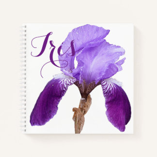 Carnet Personnalisable Iris nom joli iris violet fleuri