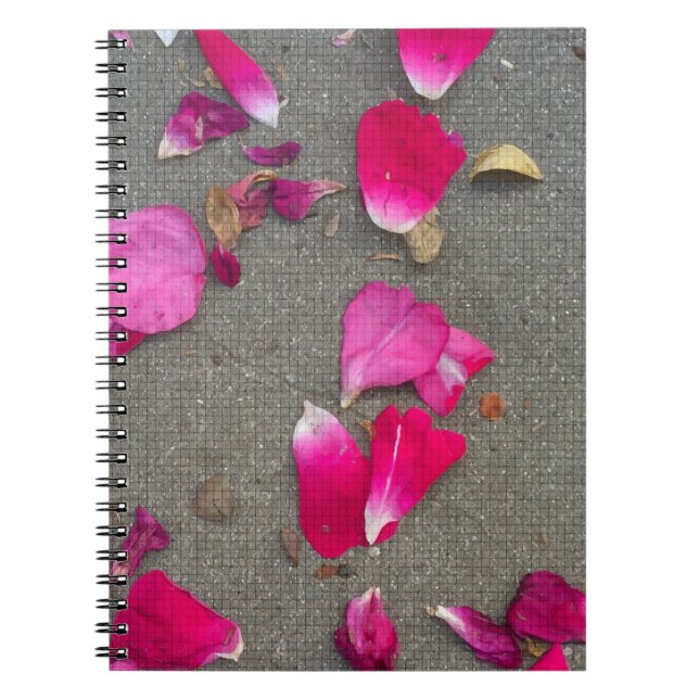 Carnet Pétales de danse IV (Devant)