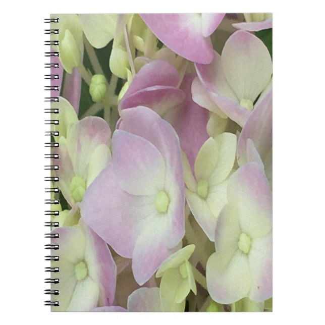 Carnet Pétales d'hydrangée rose et blanc antique (Devant)