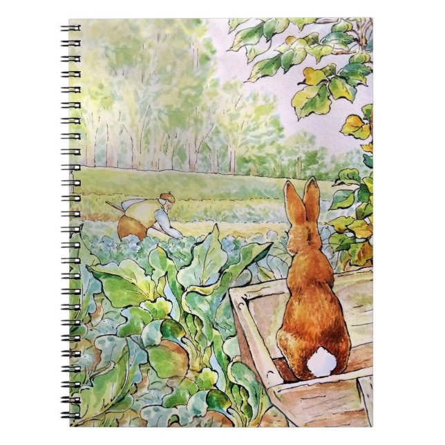 Carnet Peter le lapin dans le Vegie Garden de M. Mc Grego (Devant)