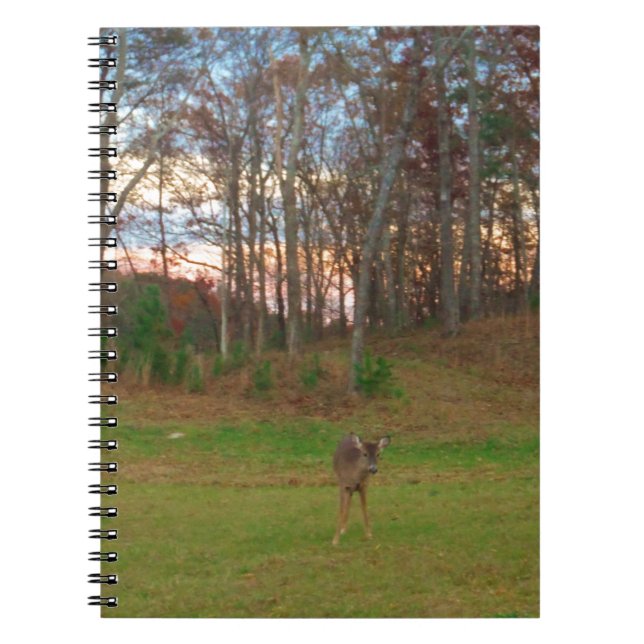Carnet Petit cerf et coucher de soleil rose (Devant)