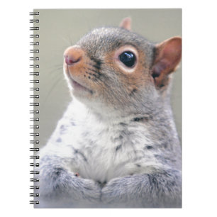 Carnet Petit écureuil gris doux et souple