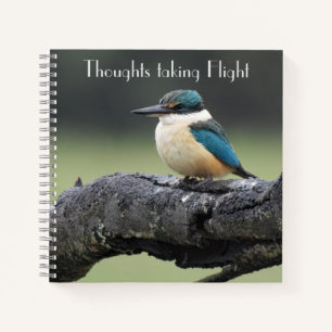 Carnet Petit oiseau de Kookaburra