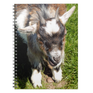 CARNET PETITE CHÈQUE CUITE
