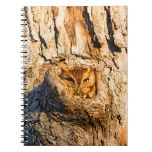 Carnet Petite chouette des terriers