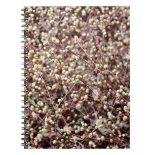 Carnet Petite petite boule mignonne en forme de buisson b
