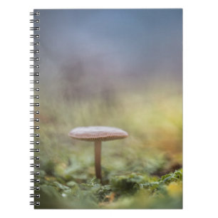Carnet Petite photo de la nature des champignons