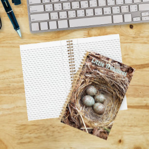 Carnet Petits Trésors Œufs de Nid d'Oiseau