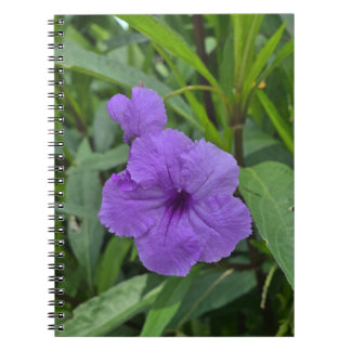 Carnet Petunia mexicain