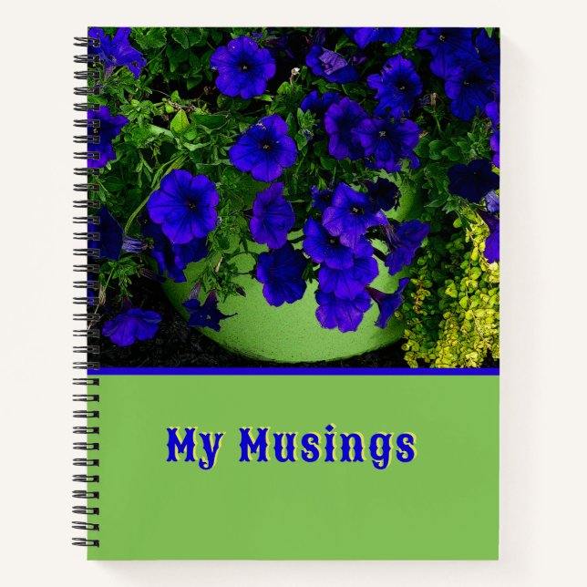 CARNET PETUNIAS BLEU EN POT VERT (Devant)