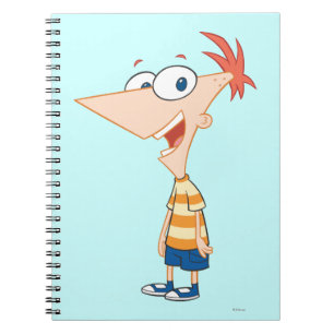 Carnet Phineas Pose