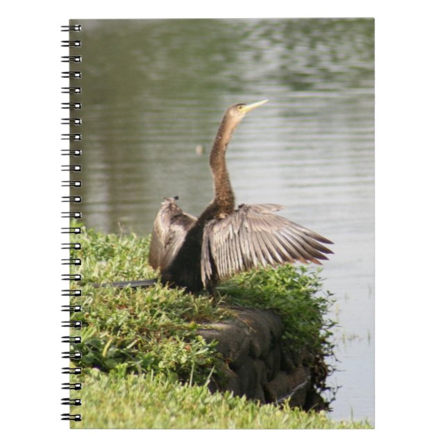 Carnet photo Anhinga Bird Spiral (Devant)
