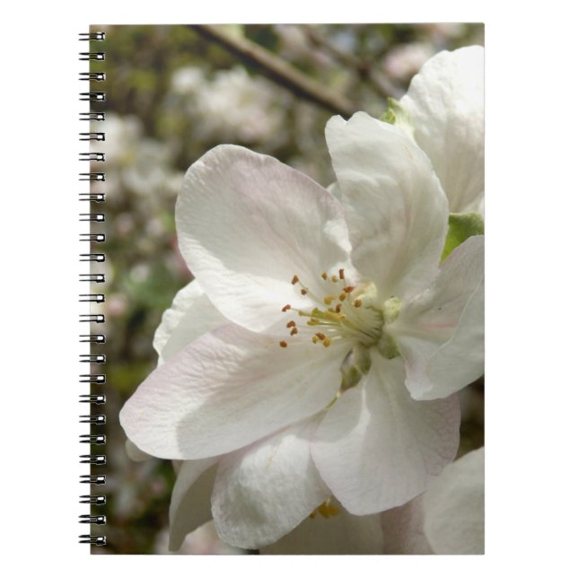 Carnet photo Apple Blossom (Devant)