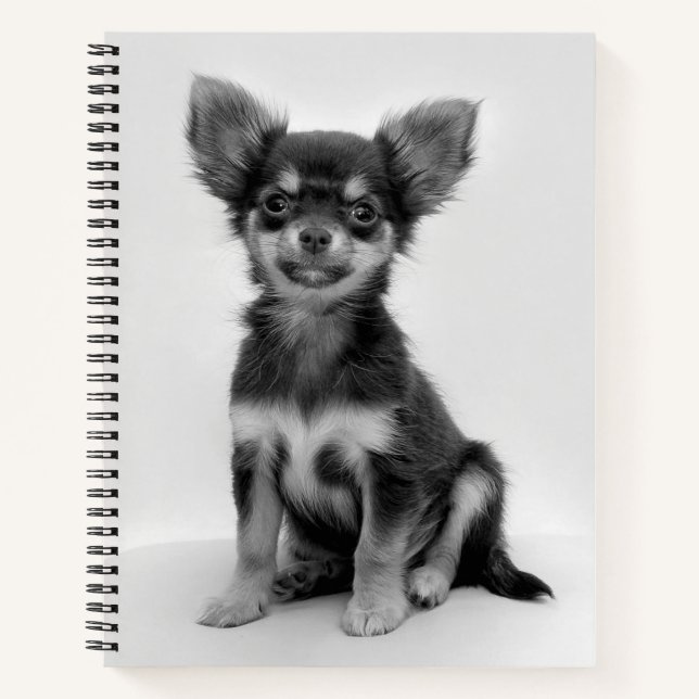 Carnet Photo Chihuahua noir et blanc (Devant)