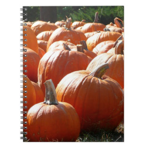 Carnet Photo citrouille pour automne, Halloween ou Thanks