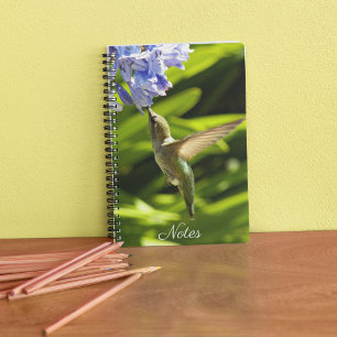 Carnet Photo Colibri et Fleur